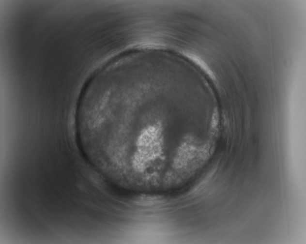 X0000088690487200706282005