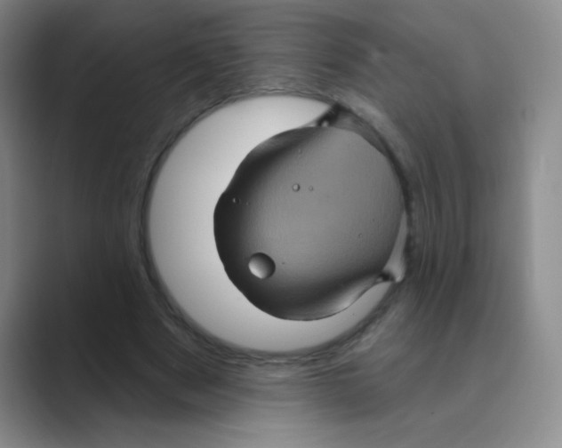 X0000088690489200706282005