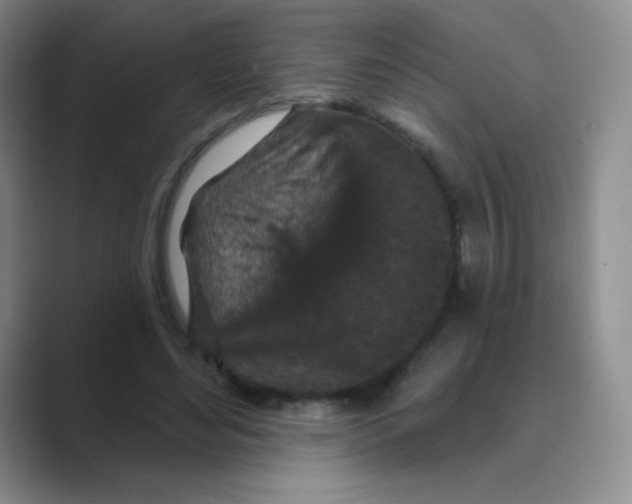 X0000088690492200706282005