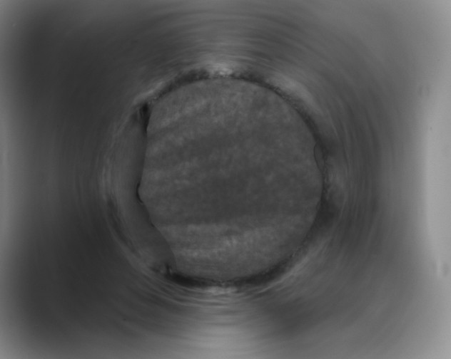 X0000088690496200706282005