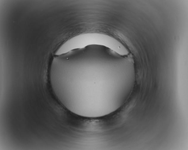 X0000088690497200706282005