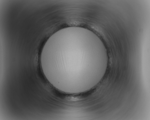 X0000088690498200706282005