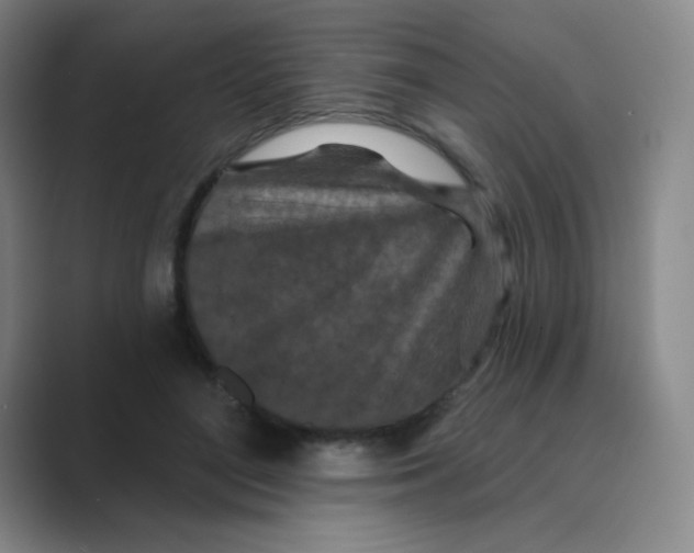 X0000088690500200706282005