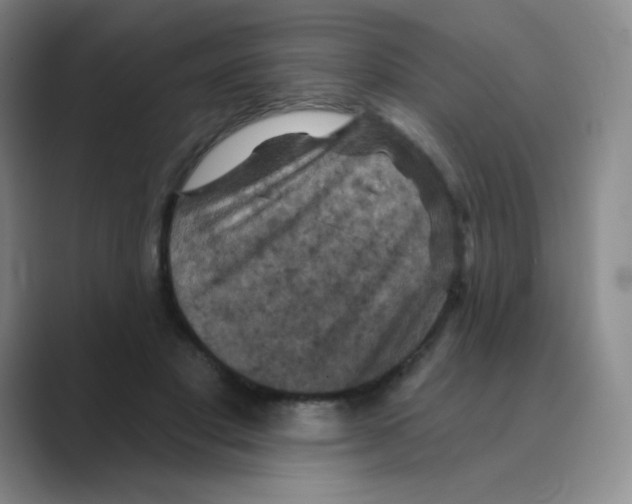 X0000088690501200706282005