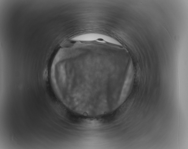 X0000088690502200706282005