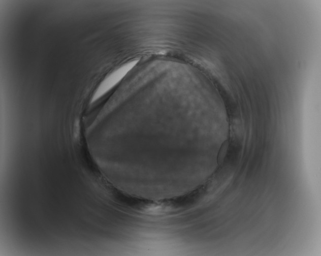 X0000088690504200706282005