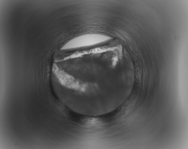 X0000088690507200706282005