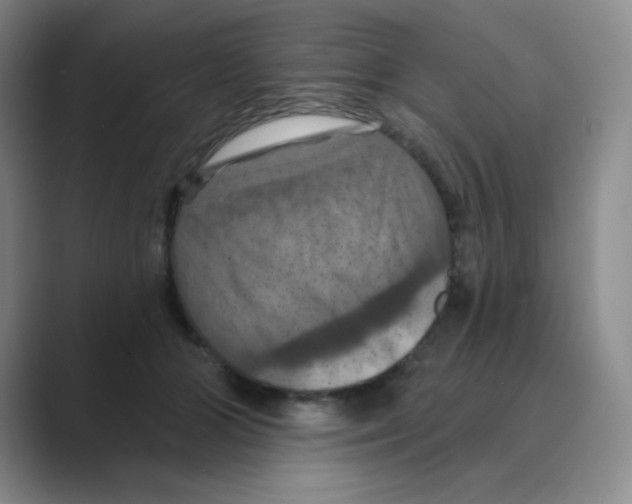 X0000088690510200706282005