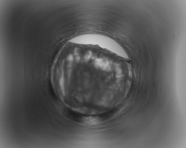 X0000088690511200706282005