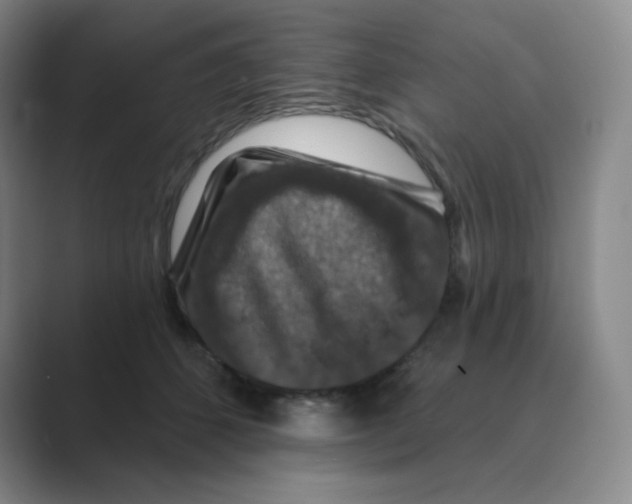 X0000088690512200706282005