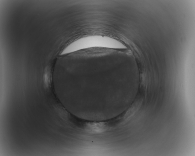 X0000088690517200706282005