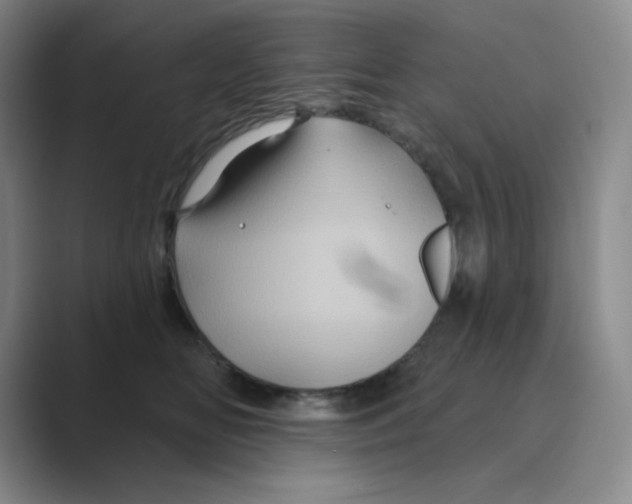 X0000088690518200706282005