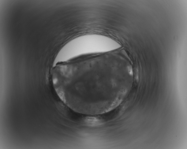 X0000088690519200706282005