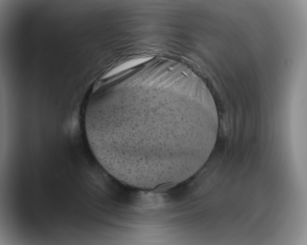 X0000088690520200706282005