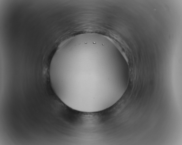 X0000088690521200706282005