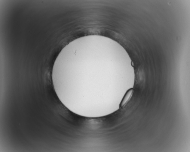 X0000088690522200706282005