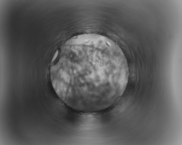 X0000088690523200706282005