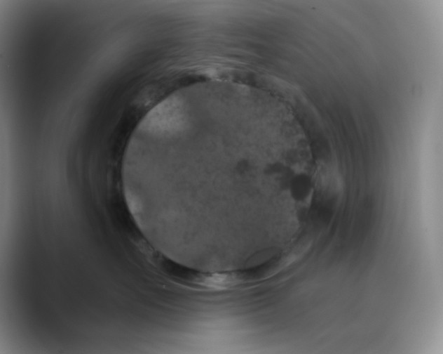 X0000088690527200706282005