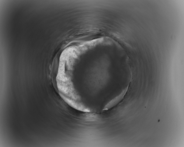 X0000088690528200706282005