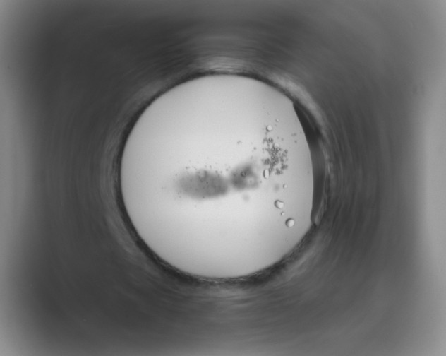 X0000088690529200706282004