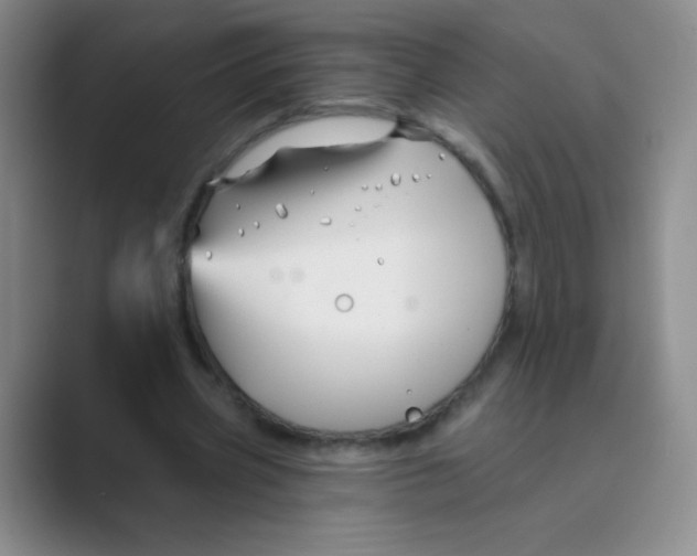 X0000088690533200706282004