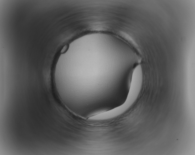 X0000088690535200706282004