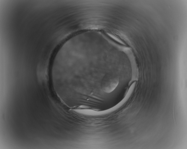 X0000088690536200706282004