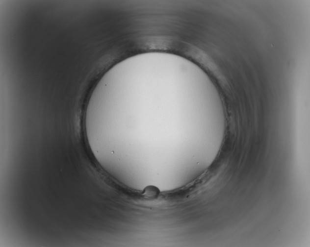 X0000088690537200706282004