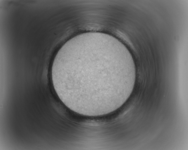 X0000088690538200706282004
