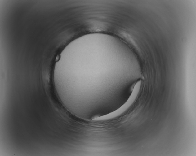 X0000088690539200706282004