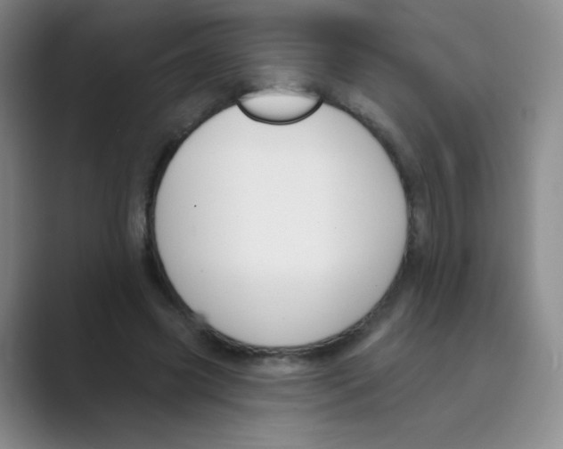 X0000088690541200706282004