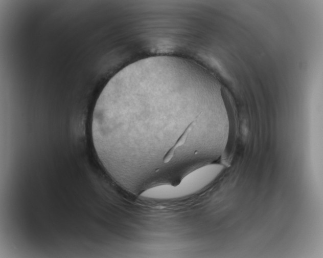 X0000088690543200706282004