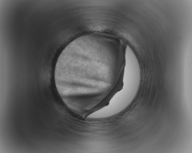 X0000088690544200706282004
