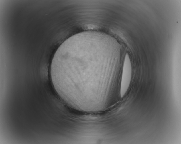 X0000088690545200706282004