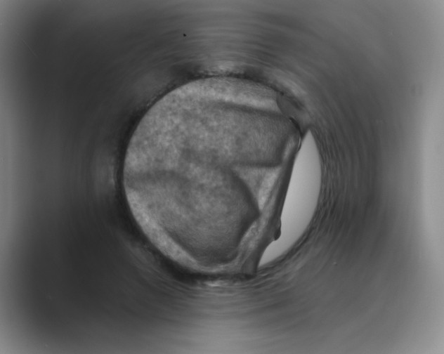 X0000088690546200706282004