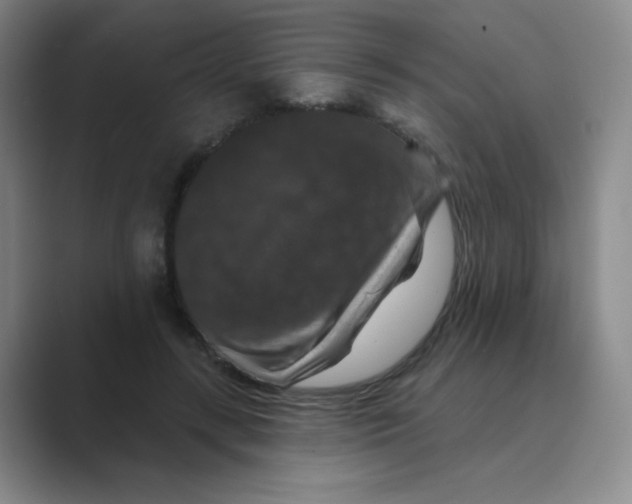 X0000088690547200706282004