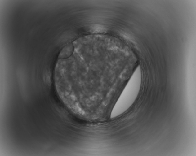 X0000088690550200706282004
