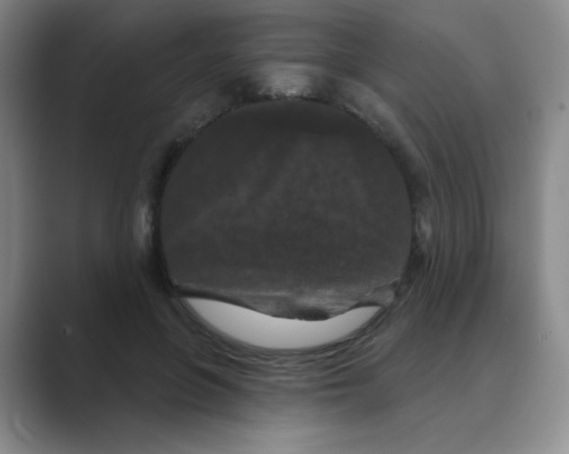 X0000088690551200706282004