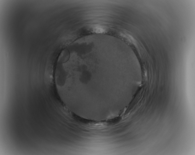 X0000088690553200706282005