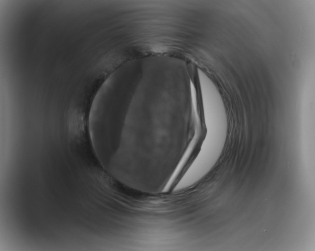 X0000088690555200706282005