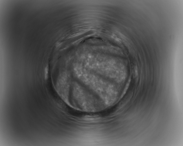 X0000088690556200706282005