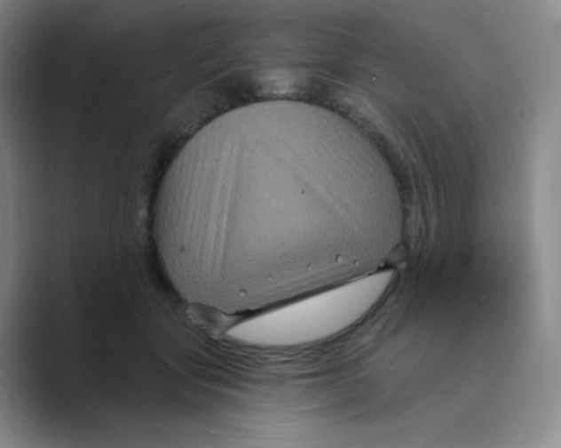 X0000088690557200706282005