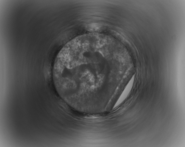 X0000088690561200706282005