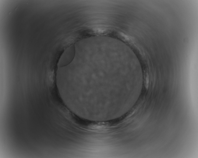 X0000088690563200706282005