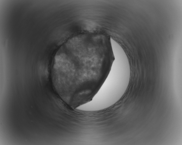 X0000088690566200706282005