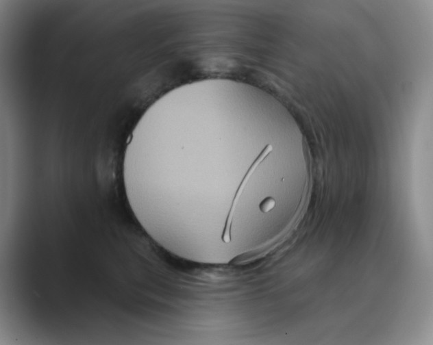 X0000088690567200706282005