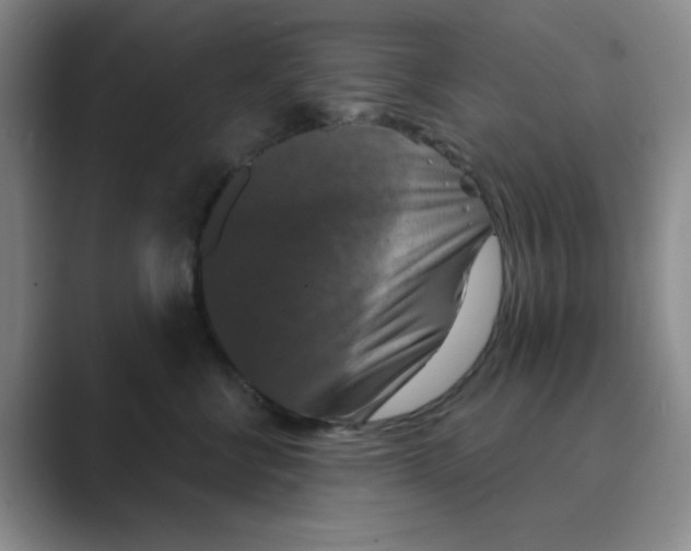 X0000088690570200706282005