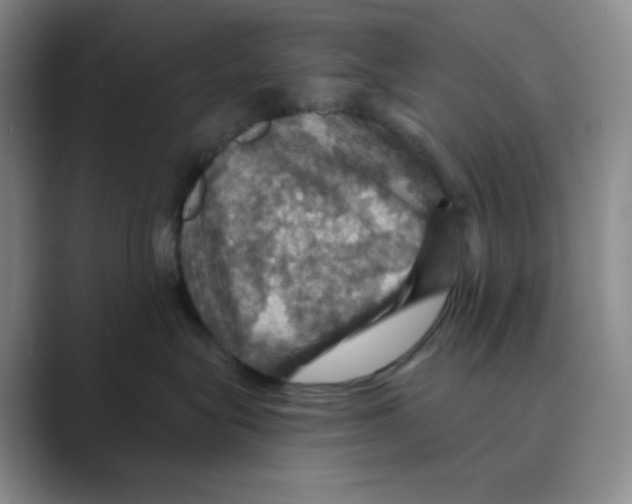 X0000088690575200706282005