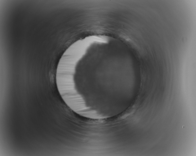 X0000088690576200706282005