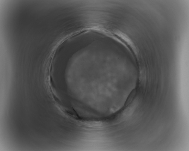 X0000088690577200706282004